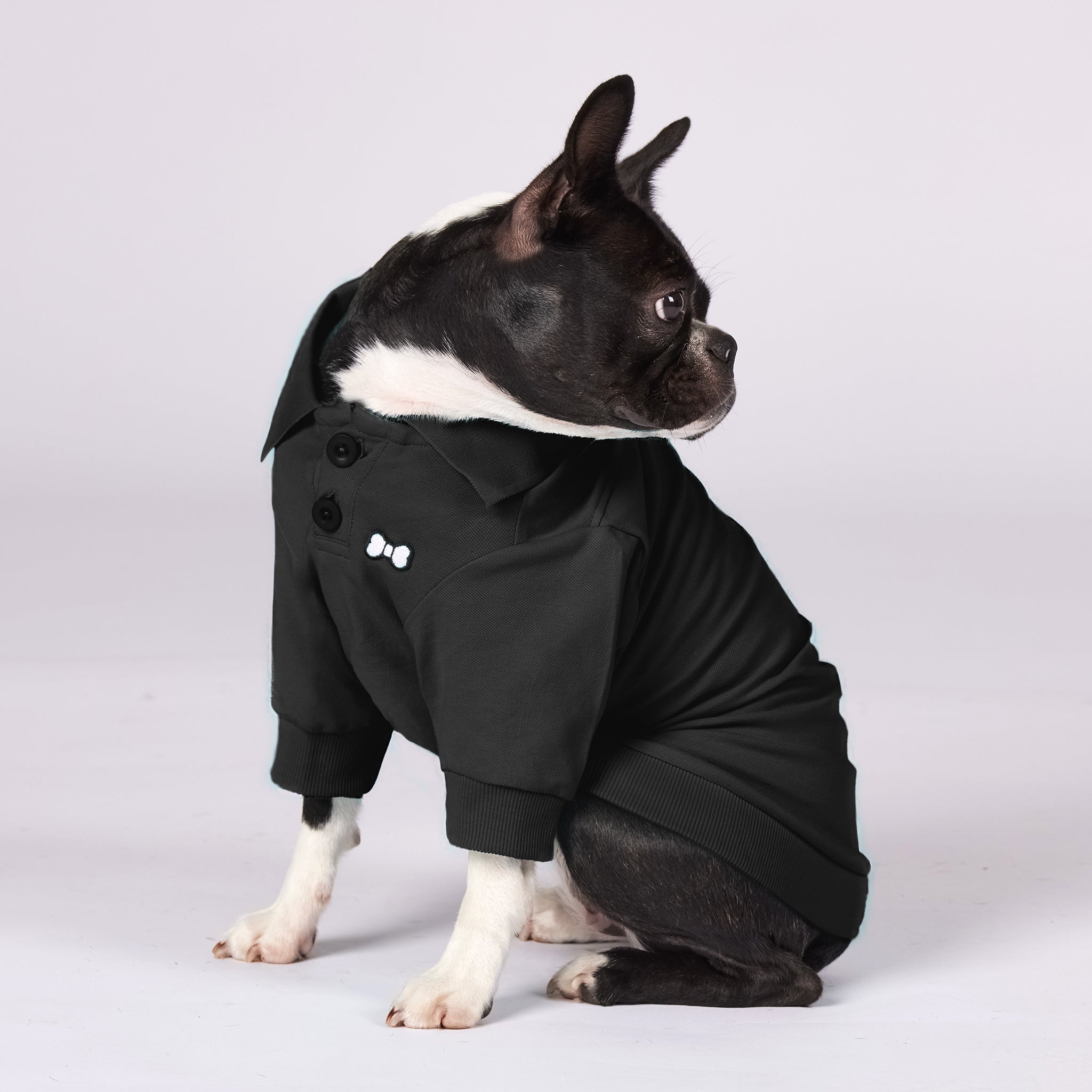Active Dog Polo Shirt – Sgt Puppa