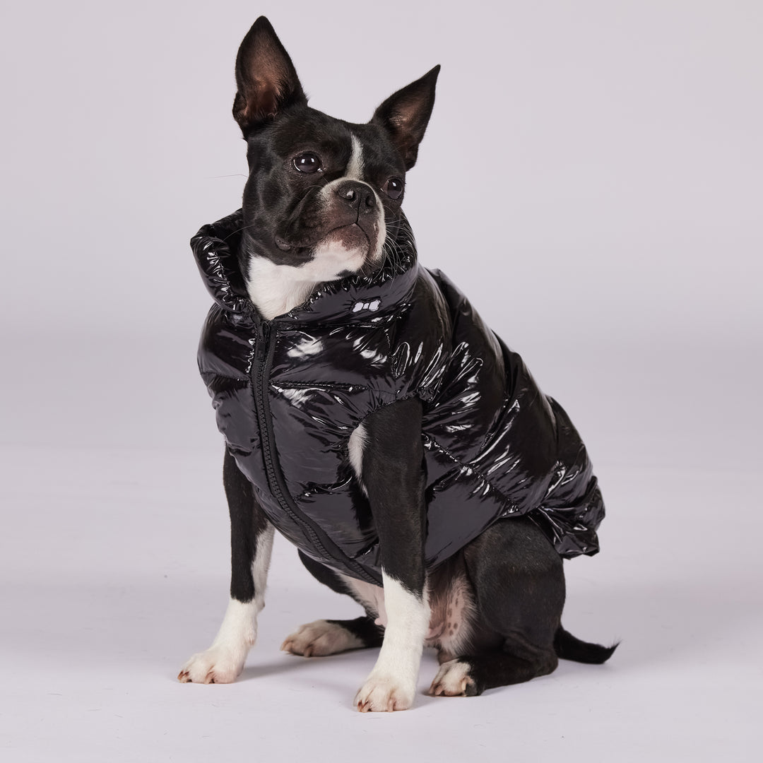 Fashion_DOG_puff-jacket_black. 