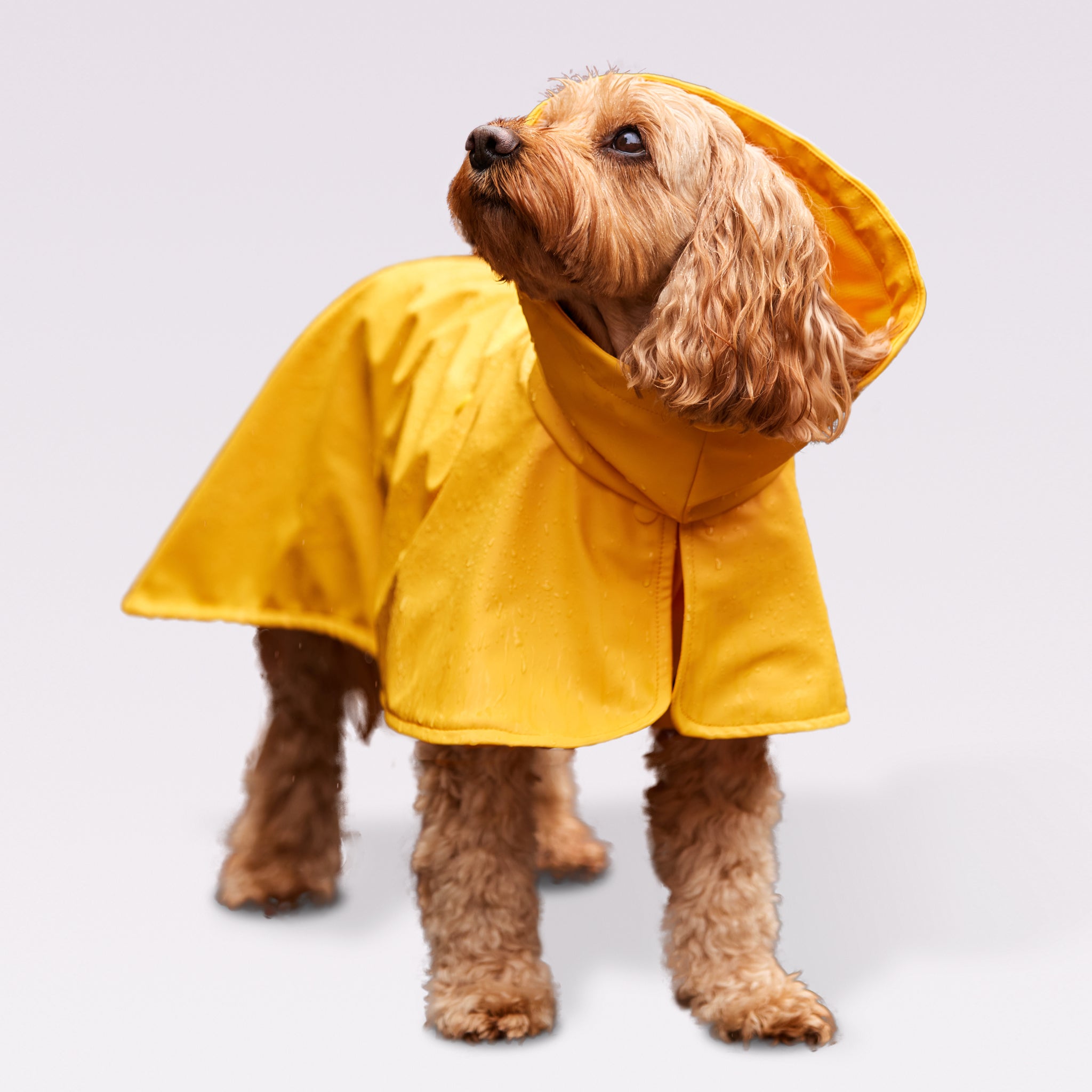 Active Dog Rain Coat – Sgt Puppa