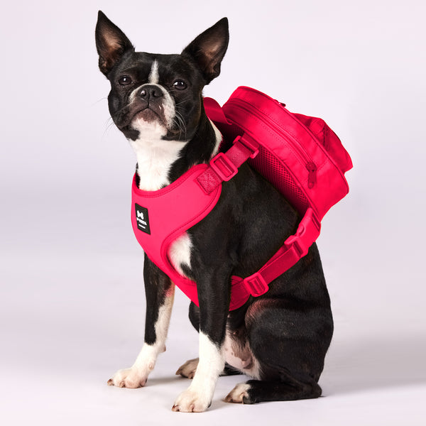 Active Dog Backpack