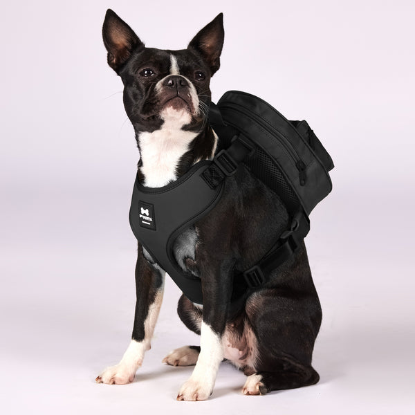 Active Dog Backpack